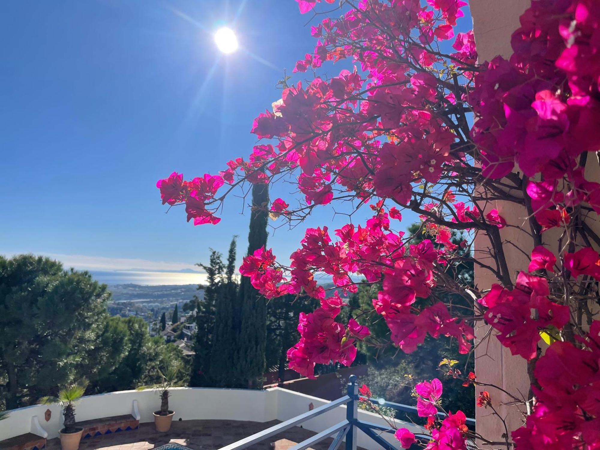 Boutique Hotel Maravilla - Marbella Benahavís Esterno foto