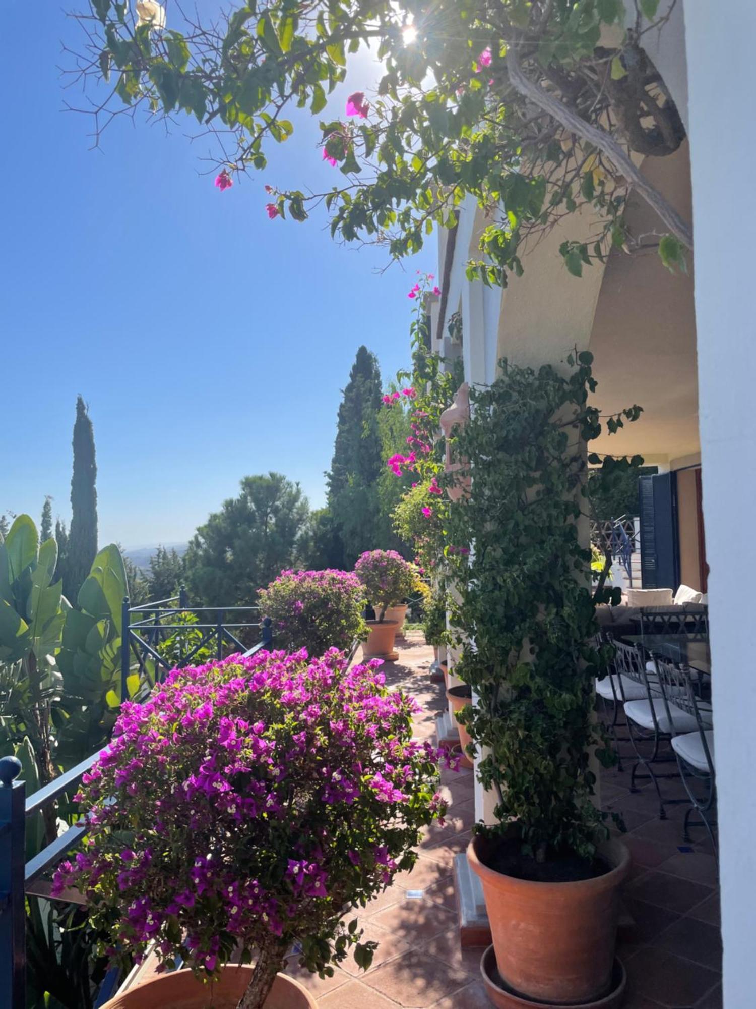 Boutique Hotel Maravilla - Marbella Benahavís Esterno foto