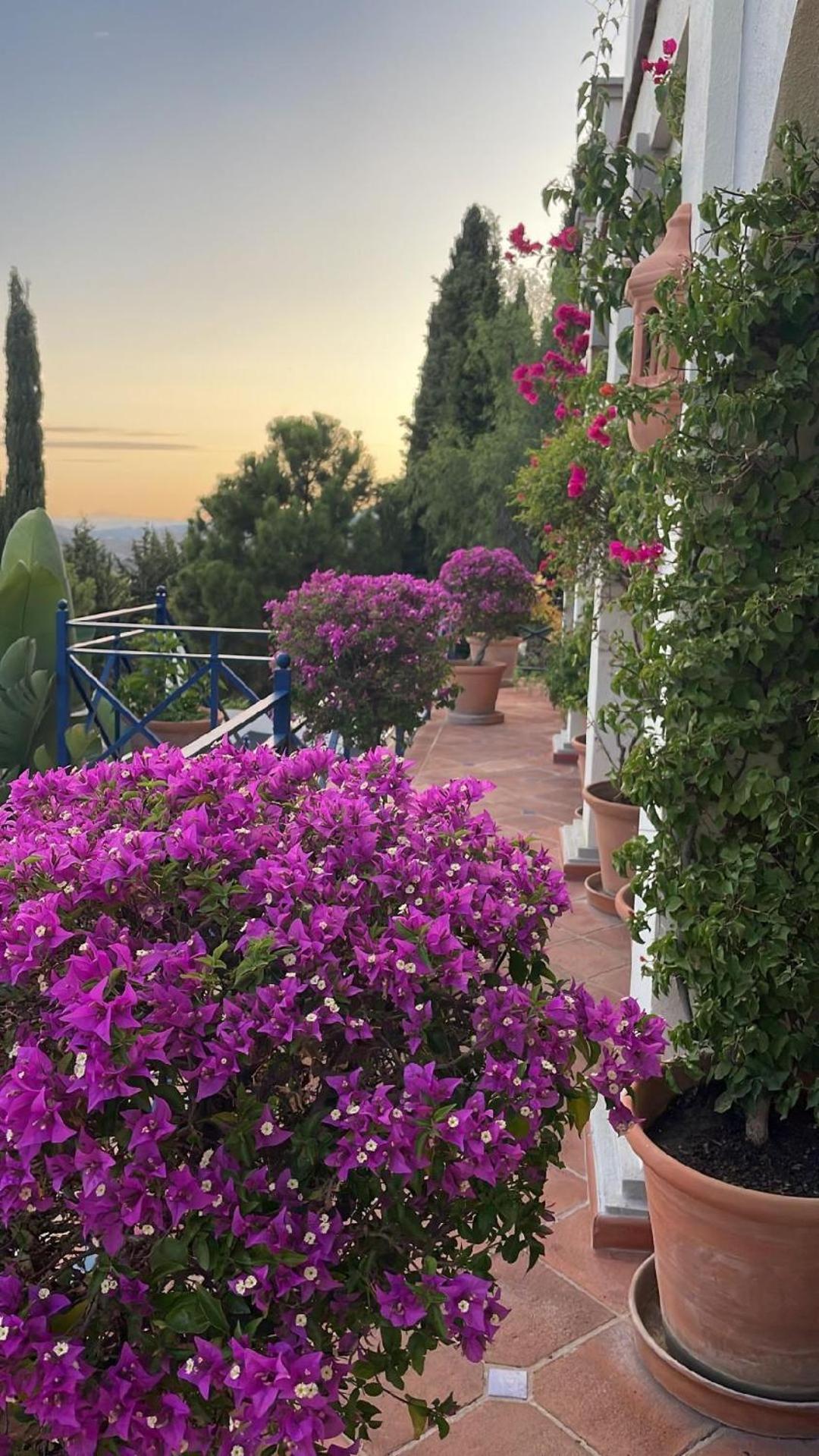 Boutique Hotel Maravilla - Marbella Benahavís Esterno foto